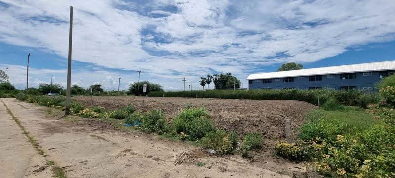 land for sell, Nakhon Pathom, Don Khoi, Kamphaeng Saen, Nakhon Pathom, , 400 sqm, Land For Sale, by คุณนก, 500533759 - DDproperty.com