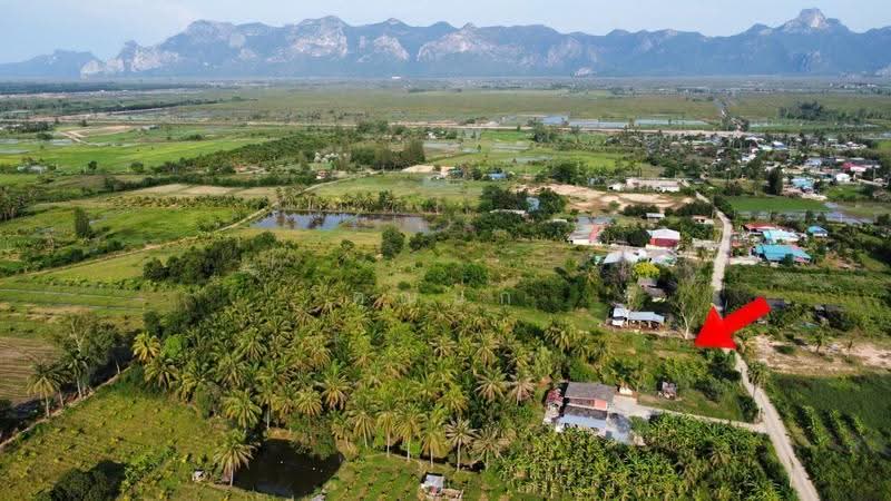 ขายที่ดิน สามร้อยยอด, ประจวบคีรีขันธ์, ไร่เก่า, สามร้อยยอด, ประจวบคีรีขันธ์, 3,200 ตร.ม., ที่ดิน ขาย, โดย คุณนก, 500533854 - DDproperty.com