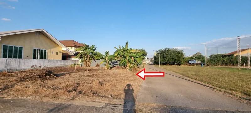ขายที่ดิน ถมแล้ว 80 ตรว. ซอยเทศบาล 30/8, ลพบุรี, หนองม่วง, ลพบุรี, 320 ตร.ม., Land ขาย, โดย คุณนก, 500533911 - DDproperty.com