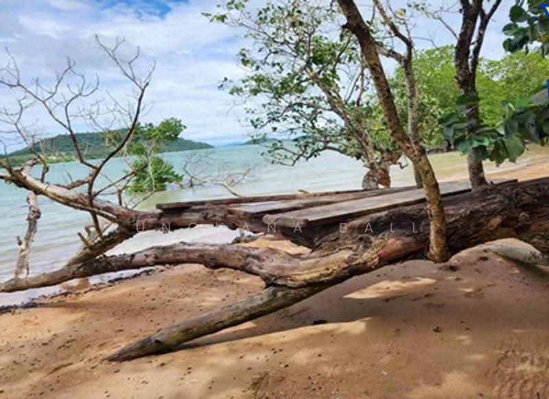 OFF-MARKET | RARE BEACHFRONT & SEA VIEW LAND |127 RAI, KOH SIREY, PHUKET, Phuket, Ratsada, Muang Phuket, Phuket, , 203,200 sqm, Land For Sale, by Runchana Ball, 500533976 - DDproperty.com