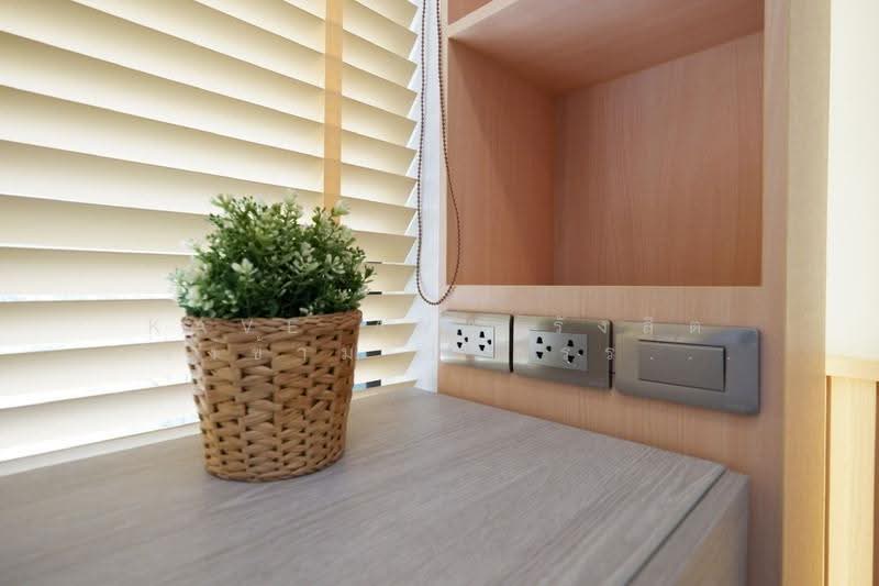 Kave Ava, Pathum Thani, 100 Khlong Luang Road, Khlong Nung, Khlong Luang, Pathum Thani, 1 Bedroom, 22 sqm, Condo For Sale, by คุณเมย์, 500534003 - DDproperty.com