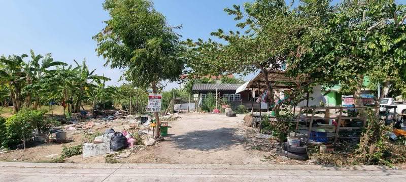 land for sell, Samut Prakan, Nai Khlong Bang Pla Kot, Phra Samut Jadee, Samut Prakan, , 400 sqm, Land For Sale, by คุณนก, 500534004 - DDproperty.com