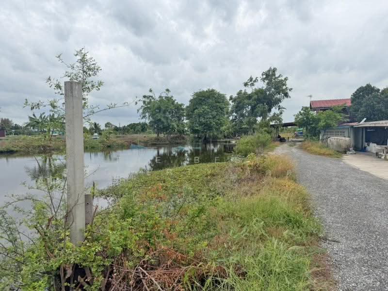 บ้านเดี่ยวพร้อมที่ดินบางบ่อ สมุทรปราการ, Samut Prakan, Bang Bo, Samut Prakan, 2 Bedrooms, 150 sqm, Single Detached House For Sale, by The Best Property ลัดดา, 500534063 - DDproperty.com