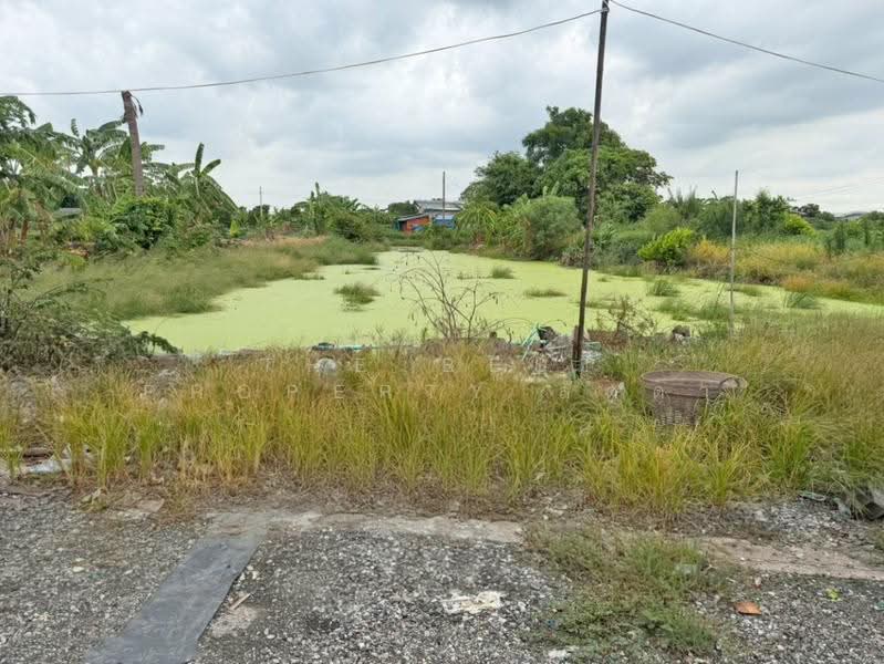 บ้านเดี่ยวพร้อมที่ดินบางบ่อ สมุทรปราการ, Samut Prakan, Bang Bo, Samut Prakan, 2 Bedrooms, 150 sqm, Single Detached House For Sale, by The Best Property ลัดดา, 500534063 - DDproperty.com