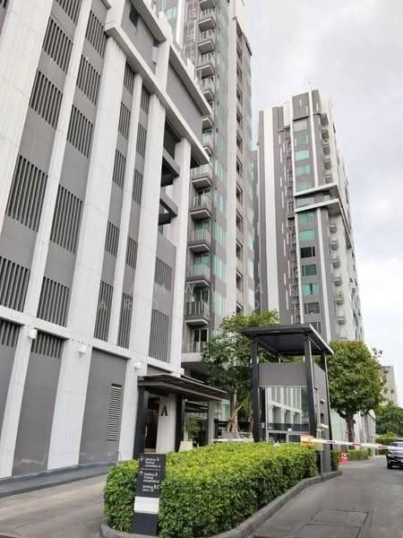 CEIL by Sansiri, Bangkok, 11 Soi Ekamai 12, Sukhumvit 63 Road, Khlong Tan Nua, Watthana, Bangkok, 1 Bedroom, 35 sqm, Condo For Rent, by Amwika Karoonsombat, 500534096 - DDproperty.com