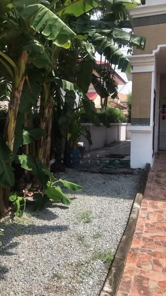 Nantawan Suanluang Rama 9 : บ้านนันทวัน สวนหลวง ร.9, กรุงเทพ, เฉลิมพระเกียรติ ร. 9 ซอย 62, ดอกไม้, ประเวศ, กรุงเทพ, 300 ตร.ม., บ้านเดี่ยว ให้เช่า, โดย ภูวเดช ถิ่นดวงจันทร์, 500534153 - DDproperty.com