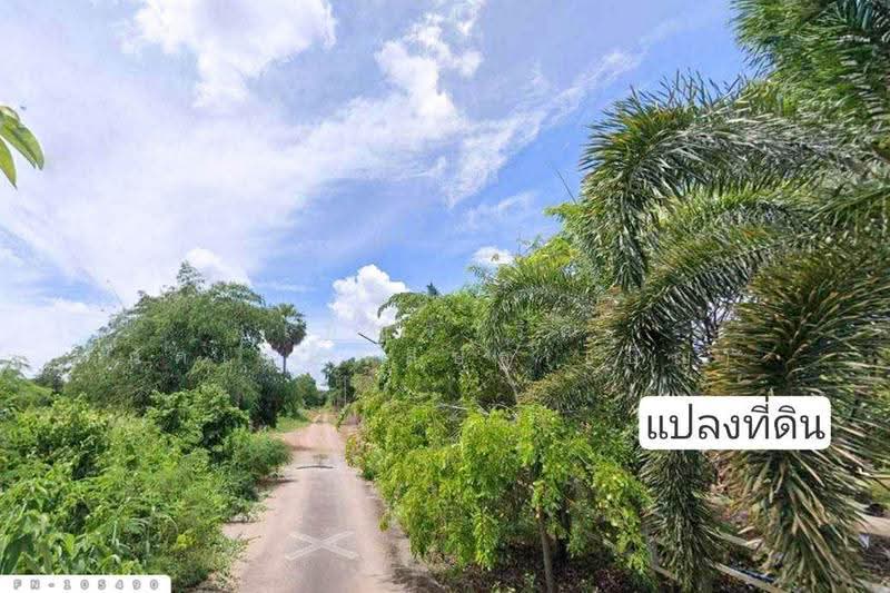 ที่ดินจอมบึง 8 ไร่ 276.3 ตร.ว. ราชบุรี ใกล้โรงพยาบาลสมเด็จพระยุพราชจอมบึง FN-105490, ราชบุรี, จอมบึง, ราชบุรี, 13,905 ตร.ม., ที่ดิน ขาย, โดย เบ็ญจวริณ ภัคเวทพิสิษฐ์(เบ็ญ), 500534358 - DDproperty.com