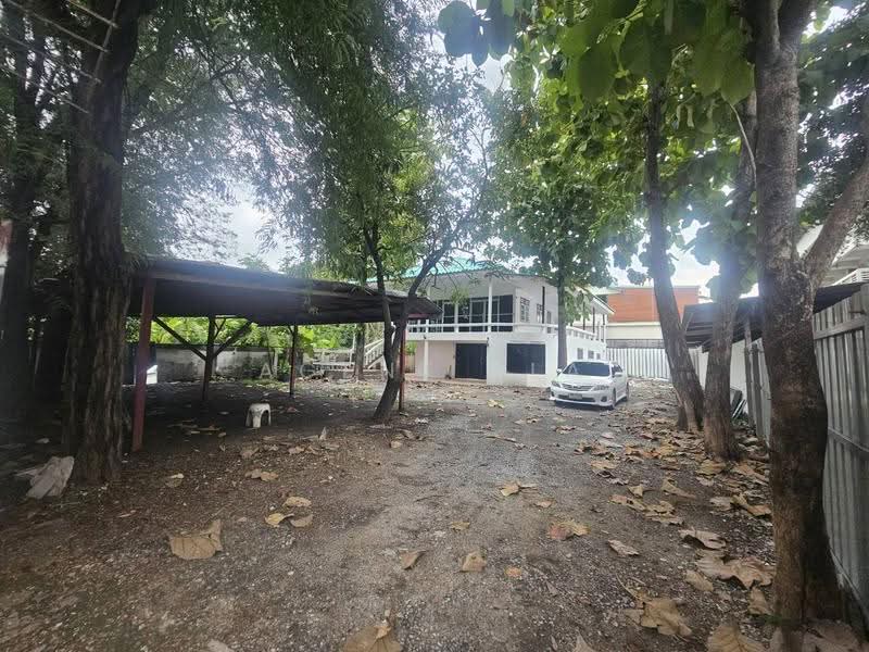 ให้เช่า บ้านเดี่ยว / Home Office ย่านพัฒนาการ จดทะเบียนบริษัทได้ (SPSAD4158), กรุงเทพ, พัฒนาการ, สวนหลวง, กรุงเทพ, 696 ตร.ม., บ้านเดี่ยว ให้เช่า, โดย Agent Pla, 500534532 - DDproperty.com