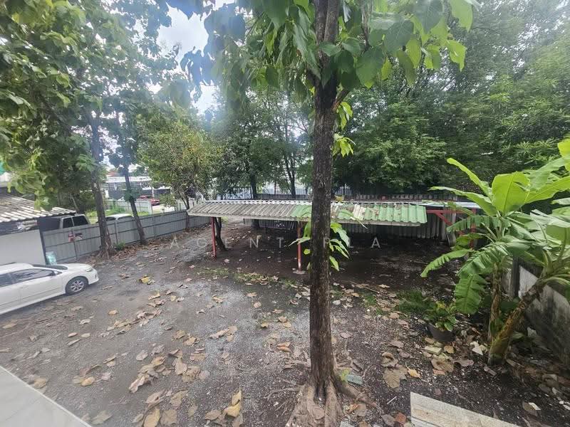 For Rent: Detached House / Home Office in Pattanakarn Area, Company Registration Allowed (SPSAD4158), Bangkok, พัฒนาการ, Suan Luang, Bangkok, 3 Bedrooms, 696 sqm, Single Detached House For Rent, by Agent Pla, 500534532 - DDproperty.com