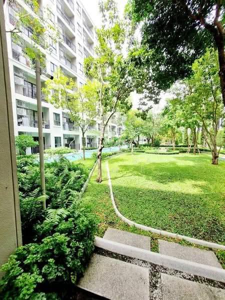 La Casita Hua Hin, Prachuap Khiri Khan, Hua Hin 94/2 Alley, Hua Hin, Prachuap Khiri Khan, Studio, 27 sqm, Condo For Rent, by Chalisa Kitilimtrakul, 500534546 - DDproperty.com