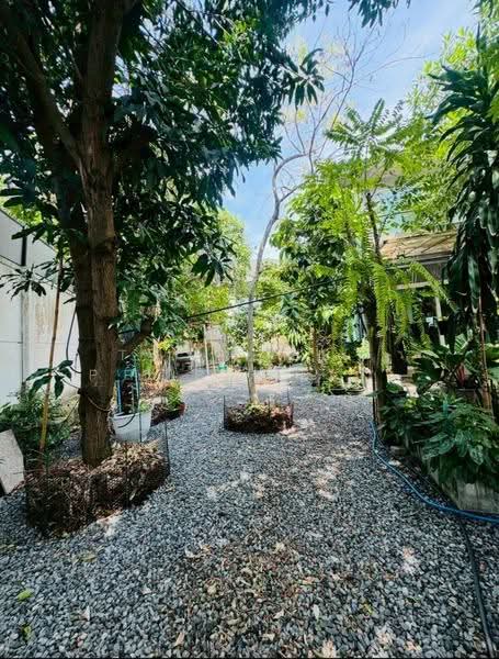Baan Pruklada Suvarnabhumi : บ้านพฤกษ์ลดา สุวรรณภูมิ, สมุทรปราการ, ถนนลาดกระบัง ซ.ลาดกระบัง 54, ศีรษะจรเข้น้อย, บางเสาธง, สมุทรปราการ, 150 ตร.ม., บ้านเดี่ยว ขาย, โดย The Best Property Agent บูม, 500534683 - DDproperty.com