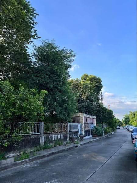 3-BR House, Bangkok, Lam Phak Chi, Nong Chok, Bangkok, 3 Bedrooms, 150 sqm, Single Detached House For Sale, by Rungkan Wijitjun, 500534734 - DDproperty.com