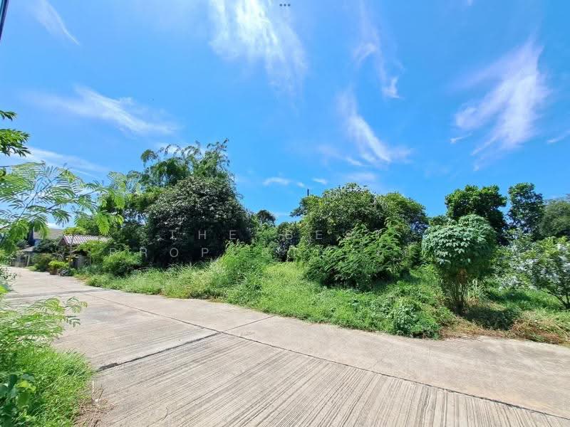 ที่ดินพุทธมณฑล นครปฐม, นครปฐม, ศาลายา, พุทธมณฑล, นครปฐม, 324 ตร.ม., ที่ดิน ขาย, โดย The Best Property เป๊ก, 500534754 - DDproperty.com