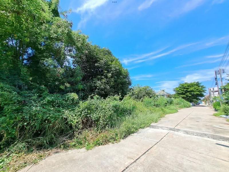 ที่ดินพุทธมณฑล นครปฐม, Nakhon Pathom, Salaya, Phuttha Mon Thon, Nakhon Pathom, , 324 sqm, Land For Sale, by The Best Property เป๊ก, 500534754 - DDproperty.com