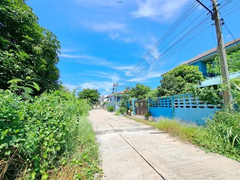 ที่ดินพุทธมณฑล นครปฐม, Nakhon Pathom, Salaya, Phuttha Mon Thon, Nakhon Pathom, , 324 sqm, Land For Sale, by The Best Property เป๊ก, 500534754 - DDproperty.com