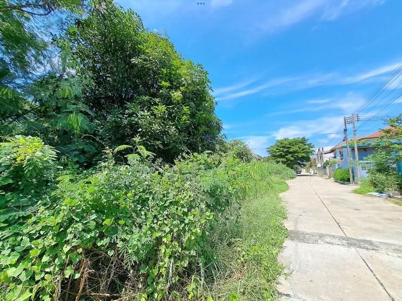 ที่ดินพุทธมณฑล นครปฐม, นครปฐม, ศาลายา, พุทธมณฑล, นครปฐม, 324 ตร.ม., ที่ดิน ขาย, โดย The Best Property เป๊ก, 500534754 - DDproperty.com