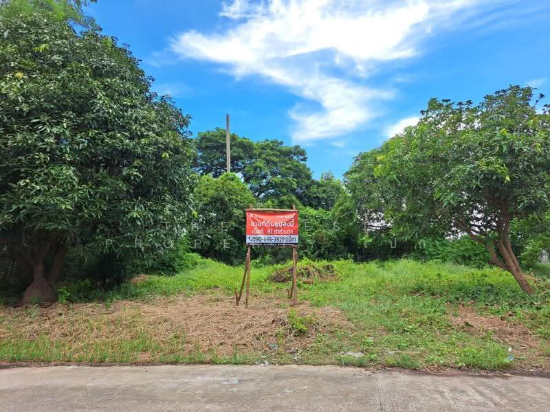 ที่ดินพุทธมณฑล นครปฐม, Nakhon Pathom, Salaya, Phuttha Mon Thon, Nakhon Pathom, , 324 sqm, Land For Sale, by The Best Property เป๊ก, 500534754 - DDproperty.com
