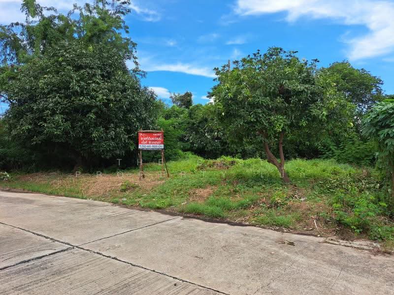 ที่ดินพุทธมณฑล นครปฐม, Nakhon Pathom, Salaya, Phuttha Mon Thon, Nakhon Pathom, , 324 sqm, Land For Sale, by The Best Property เป๊ก, 500534754 - DDproperty.com