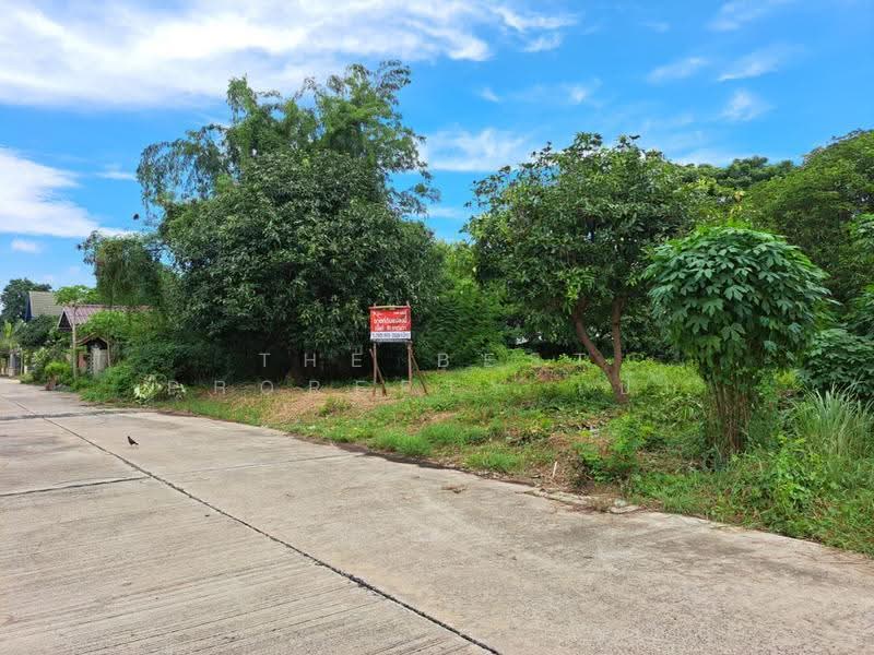 ที่ดินพุทธมณฑล นครปฐม, Nakhon Pathom, Salaya, Phuttha Mon Thon, Nakhon Pathom, , 324 sqm, Land For Sale, by The Best Property เป๊ก, 500534754 - DDproperty.com