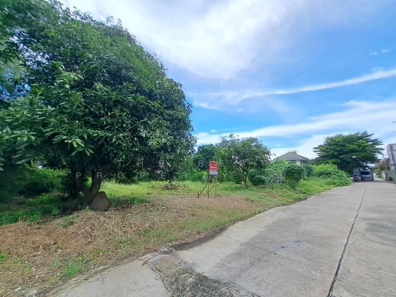 ที่ดินพุทธมณฑล นครปฐม, Nakhon Pathom, Salaya, Phuttha Mon Thon, Nakhon Pathom, , 324 sqm, Land For Sale, by The Best Property เป๊ก, 500534754 - DDproperty.com