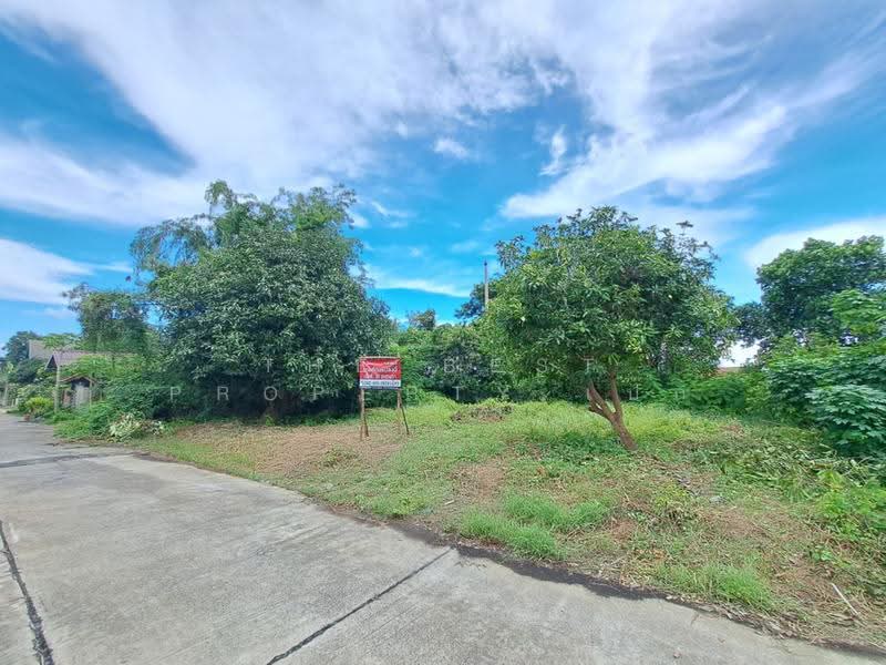 ที่ดินพุทธมณฑล นครปฐม, นครปฐม, ศาลายา, พุทธมณฑล, นครปฐม, 324 ตร.ม., ที่ดิน ขาย, โดย The Best Property เป๊ก, 500534754 - DDproperty.com