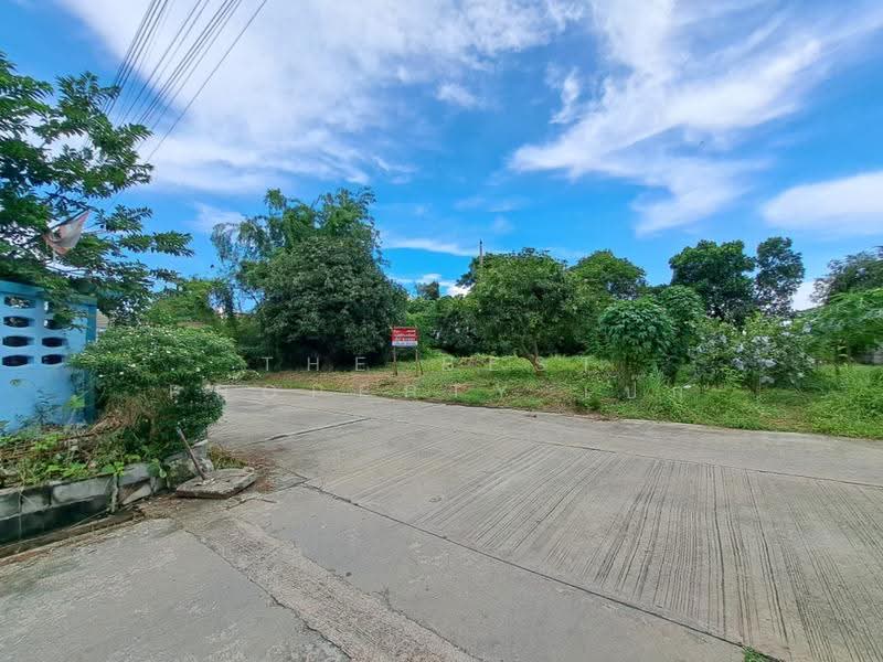 ที่ดินพุทธมณฑล นครปฐม, นครปฐม, ศาลายา, พุทธมณฑล, นครปฐม, 324 ตร.ม., ที่ดิน ขาย, โดย The Best Property เป๊ก, 500534754 - DDproperty.com
