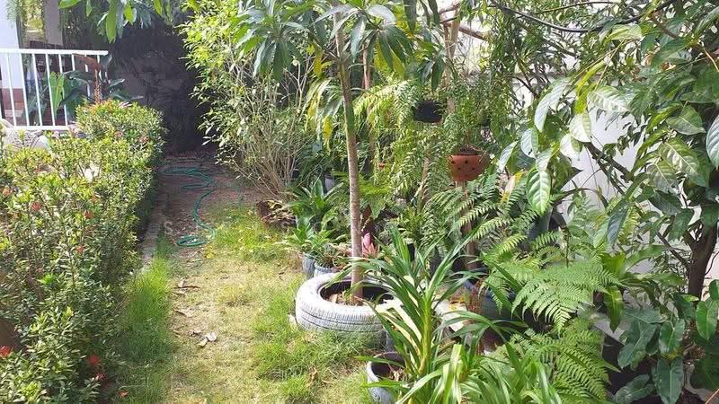 Smart House Village 2, Prachuap Khiri Khan, Thap Tai, Hua Hin, Prachuap Khiri Khan, 3 Bedrooms, 240 sqm, Single Detached House For Sale, by Sirisongkran Kasemkun, 500534799 - DDproperty.com