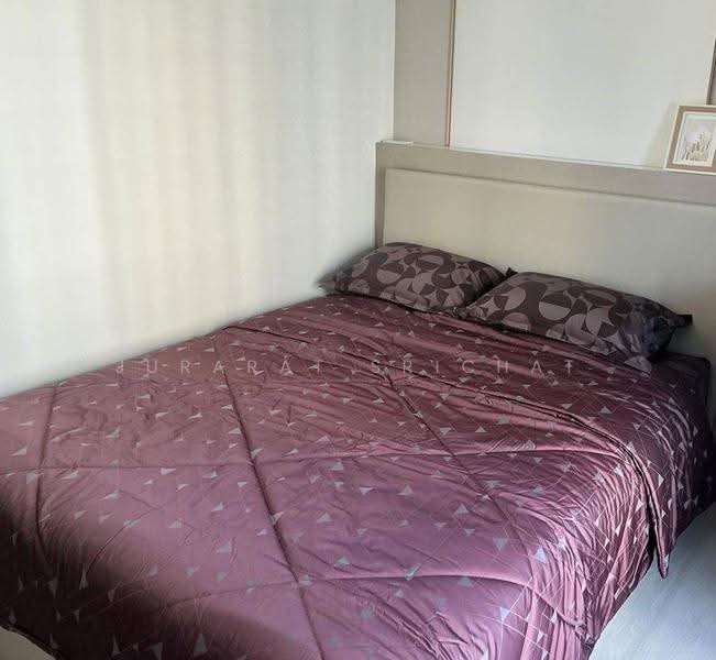 Aspire Onnut Station, Bangkok, Sukhumvit Road, Phra Kanong, Khlong Toei, Bangkok, 1 Bedroom, 31 sqm, Condo For Rent, by Jurarat Srichat, 500534830 - DDproperty.com