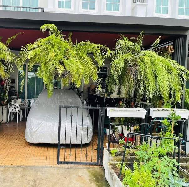 Golden Town 2 Ladprao-Kaset Nawamin, Bangkok, Soi Nawamin 42 Yak 27, Khlong Kum, Bueng Kum, Bangkok, 4 Bedrooms, 325 sqm, Townhouse For Sale, by Walapa Jidbumrungsakun, 500534919 - DDproperty.com