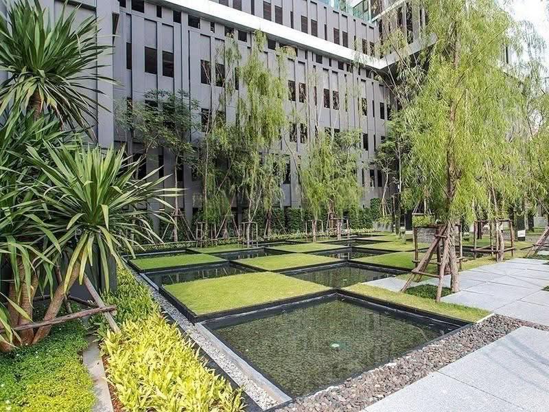 Rhythm Sukhumvit 36-38, Bangkok, 55 Soi Sukhumvit 36, Sukhumvit Road, Phra Kanong, Khlong Toei, Bangkok, 1 Bedroom, 41 sqm, Condo For Rent, by Pinyada Hantewee, 500535199 - DDproperty.com