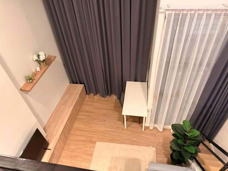 Modiz Sukhumvit 50, Bangkok, Soi Sukhumvit 50, Phra Kanong, Khlong Toei, Bangkok, 1 Bedroom, 41 sqm, Condo For Rent, by Rosesirin Expert, 500535294 - DDproperty.com