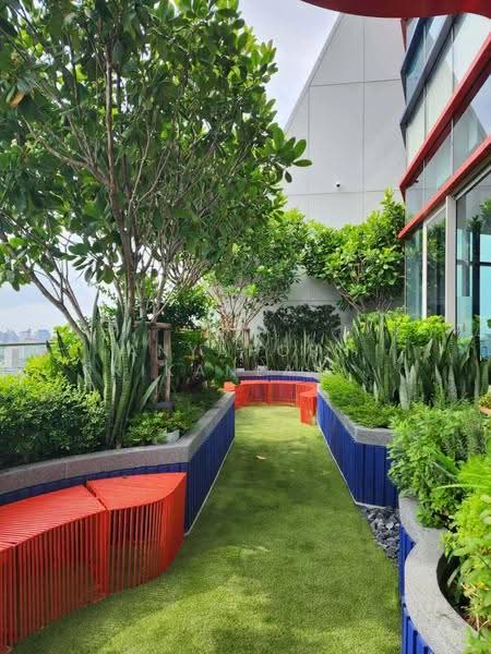 Culture Thonglor, Bangkok, Soi Sukhumvit 59, Sukhumvit Road, Khlong Tan Nua, Watthana, Bangkok, Studio, 26 sqm, Condo For Rent, by Anyaporn Srikanlayanabut, 500535403 - DDproperty.com