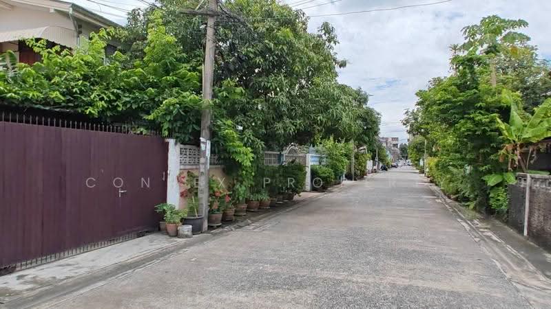 บ้านเดี่ยวหลังมุม , โลคชัย 4, กรุงเทพ, โชคชัย 4, ลาดพร้าว, กรุงเทพ, 200 ตร.ม., บ้านเดี่ยว ขาย, โดย Connex Property, 500535558 - DDproperty.com