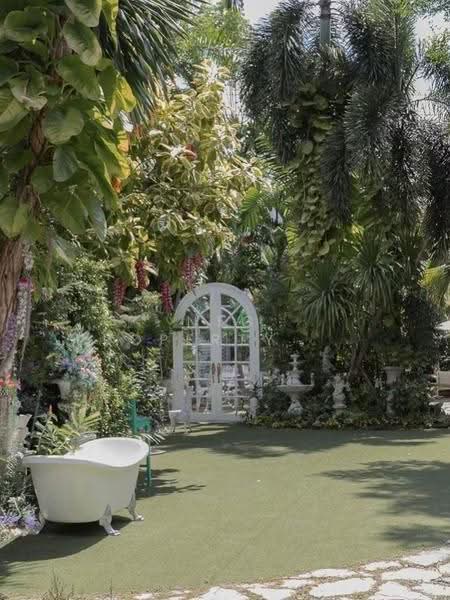 "Hidden Greenhouse in Sukhumvit 101" | พื้นที่สวนและเรือนกระจกหายาก ใจกลางสุขุมวิท 101, Bangkok, สุขุมวิท101, Bang Chak, Phra Khanong, Bangkok, , 532 sqm, Business For Rent, by NTG Property House Co.,Ltd., 500536505 - DDproperty.com