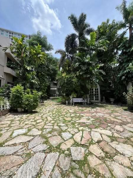 "Hidden Greenhouse in Sukhumvit 101" | พื้นที่สวนและเรือนกระจกหายาก ใจกลางสุขุมวิท 101, Bangkok, สุขุมวิท101, Bang Chak, Phra Khanong, Bangkok, , 532 sqm, Business For Rent, by NTG Property House Co.,Ltd., 500536505 - DDproperty.com