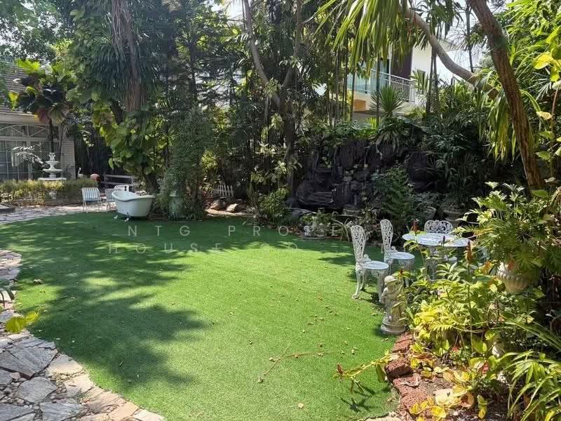 "Hidden Greenhouse in Sukhumvit 101" | พื้นที่สวนและเรือนกระจกหายาก ใจกลางสุขุมวิท 101, Bangkok, สุขุมวิท101, Bang Chak, Phra Khanong, Bangkok, , 532 sqm, Business For Rent, by NTG Property House Co.,Ltd., 500536505 - DDproperty.com