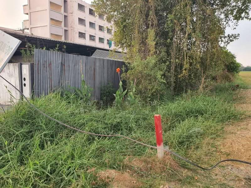 Nong Chok Community Housing Village, Bangkok, นิมิตรใหม่, Khu Fang Nua, Nong Chok, Bangkok, , 6,356 sqm, Land For Rent, by ศิริวรรณ เผือกใจแผ้ว, 500536518 - DDproperty.com