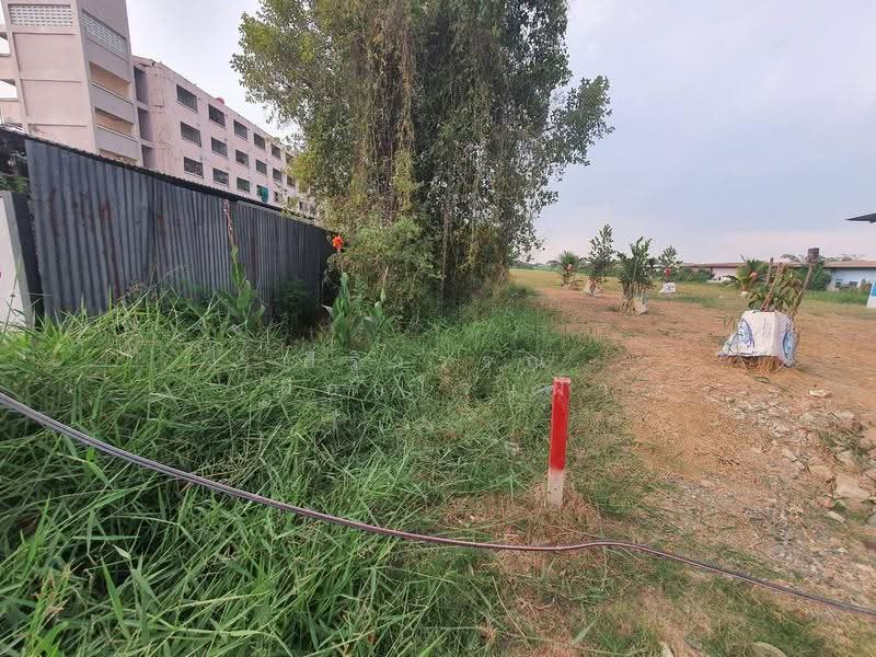 Nong Chok Community Housing Village, Bangkok, นิมิตรใหม่, Khu Fang Nua, Nong Chok, Bangkok, , 6,356 sqm, Land For Rent, by ศิริวรรณ เผือกใจแผ้ว, 500536518 - DDproperty.com