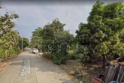 ขาย - ขายที่ดิน สามโคก ปทุมธานี ซ.หนองจอก 3, ปทุมธานี