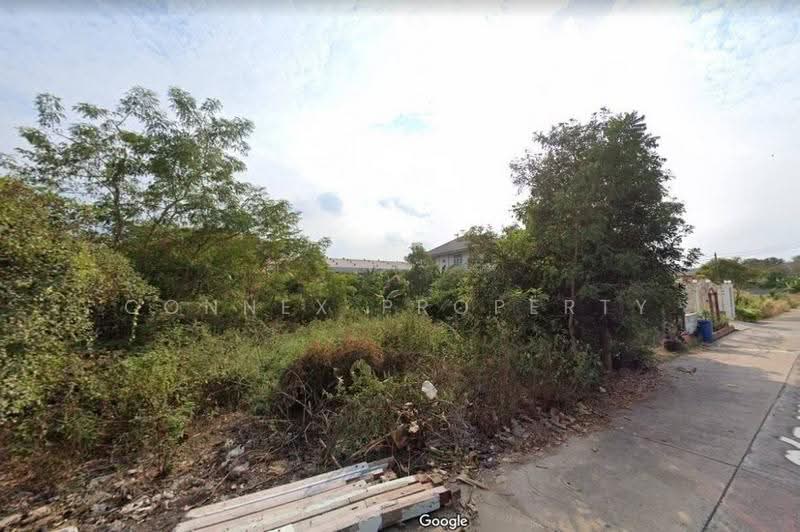 ขายที่ดิน สามโคก ปทุมธานี ซ.หนองจอก 3, ปทุมธานี, , บ้านปทุม, สามโคก, ปทุมธานี, 520 ตร.ม., ที่ดิน ขาย, โดย Connex Property, 500536540 - DDproperty.com
