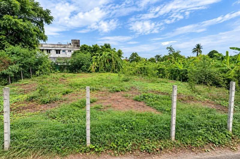 Land for Sale Sai2, Bangkok, ทวีวัฒนา-กาญจนาฯ, Thawi Watthana, Bangkok, , 614 sqm, Land For Sale, by Shaporn Supvilaiphisan, 500536579 - DDproperty.com