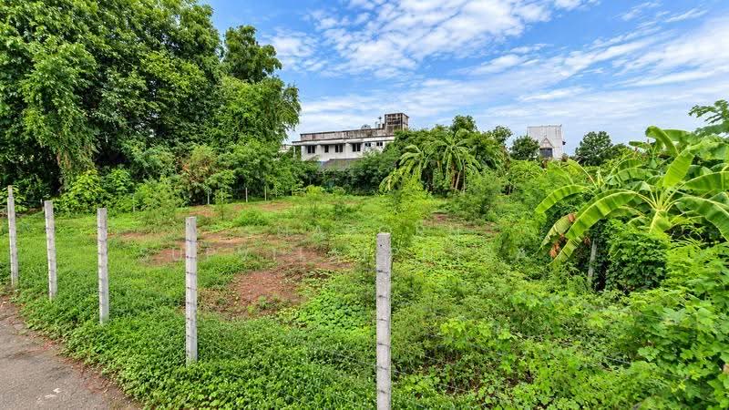 Land for Sale Sai2, Bangkok, ทวีวัฒนา-กาญจนาฯ, Thawi Watthana, Bangkok, , 614 sqm, Land For Sale, by Shaporn Supvilaiphisan, 500536579 - DDproperty.com