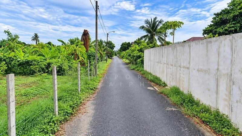 ที่ดินสร้างบ้าน สาย2 ซ.ทวีวัฒนา-กาญจนาภิเษก10, กรุงเทพ, ทวีวัฒนา-กาญจนาฯ, ทวีวัฒนา, กรุงเทพ, 614 ตร.ม., Land ขาย, โดย Shaporn Supvilaiphisan, 500536579 - DDproperty.com
