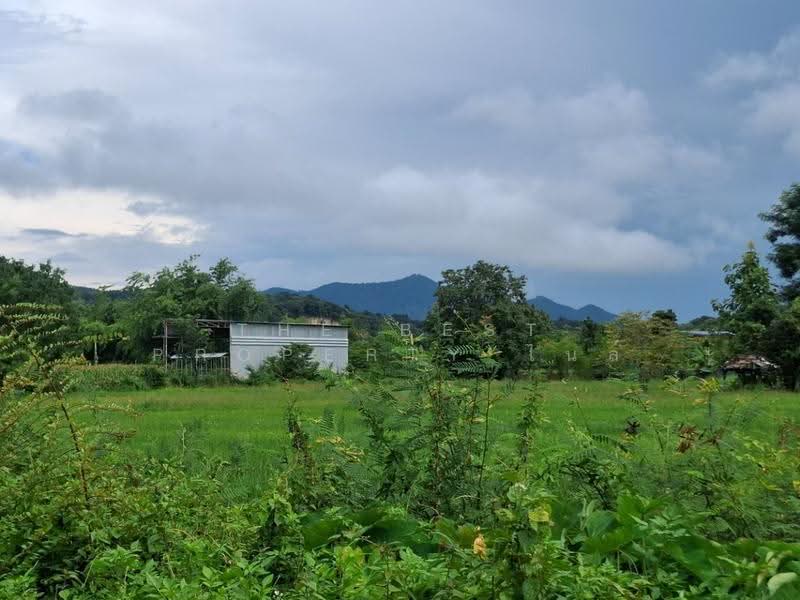 ที่ดินเทิง เชียงราย, เชียงราย, งิ้ว, เทิง, เชียงราย, 9,200 ตร.ม., ที่ดิน ขาย, โดย The Best Property ไนล์, 500536689 - DDproperty.com