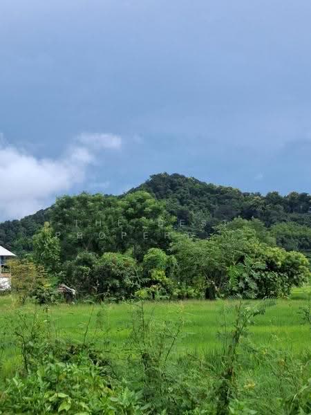 ที่ดินเทิง เชียงราย, Chiang Rai, Ngiu, Thoeng, Chiang Rai, , 9,200 sqm, Land For Sale, by The Best Property ไนล์, 500536689 - DDproperty.com