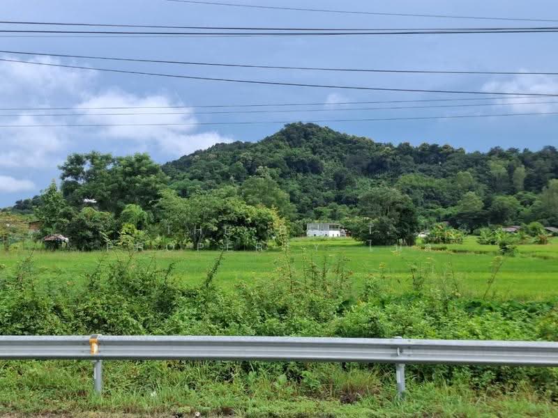 ที่ดินเทิง เชียงราย, Chiang Rai, Ngiu, Thoeng, Chiang Rai, , 9,200 sqm, Land For Sale, by The Best Property ไนล์, 500536689 - DDproperty.com