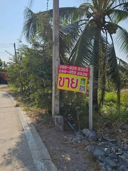 ขายที่ดิน 10 ไร่ 50 ตร.ว. พร้อมบ้านชั้นเดียว 24 ตรว. ต.หลักสาม อ.บ้านแพ้ว, สมุทรสาคร, หลักสาม, บ้านแพ้ว, สมุทรสาคร, 16,200 ตร.ม., ที่ดิน ขาย, โดย นภารัตน์ นาคดี, 500536902 - DDproperty.com