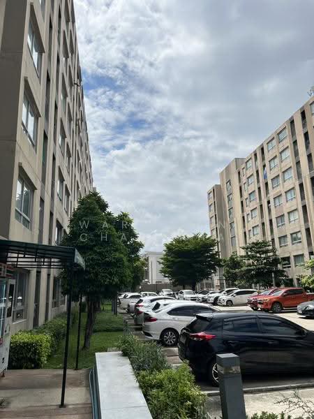 Plum Condo Samakkhi : พลัม คอนโด สามัคคี, นนทบุรี, ซอย สามัคคี 22/1, ท่าทราย, เมืองนนทบุรี, นนทบุรี, 26 ตร.ม., คอนโด ให้เช่า, โดย waraporn chanapha, 500536905 - DDproperty.com