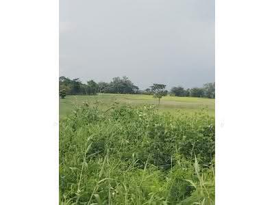 ขาย - ที่ดินเทิง เชียงราย, เชียงราย