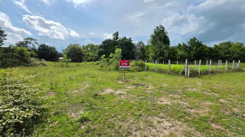 ที่ดินสีแก้ว ร้อยเอ็ด, Roi Et, Si Kaeo, Muang Roi Et, Roi Et, , 320 sqm, Land For Sale, by The Best Property ทองใบ, 500537234 - DDproperty.com